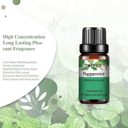 Huile Essentielle 100% Naturelle 10ml – Aromathérapie & Diffuseur